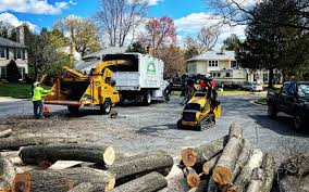 Trusted Lincolnshire, IL Tree Removal and Landscaping Services Experts